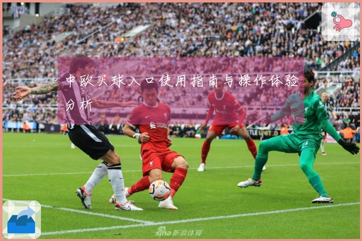 中欧买球入口使用指南与操作体验分析
