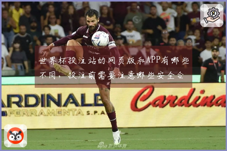 世界杯投注站的网页版和APP有哪些不同，投注前需要注意哪些安全合规问题？