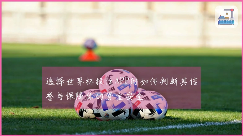选择世界杯投注APP时如何判断其信誉与保障你的资金安全
