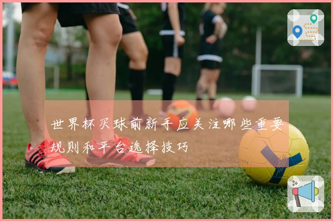 世界杯买球前新手应关注哪些重要规则和平台选择技巧
