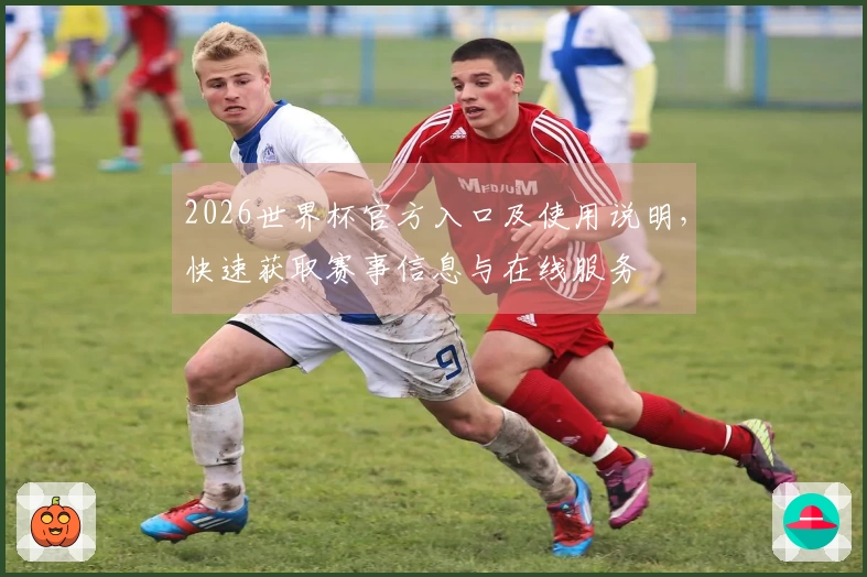 2026世界杯官方入口及使用说明，快速获取赛事信息与在线服务