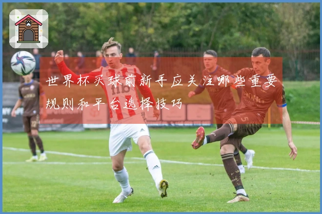 世界杯买球前新手应关注哪些重要规则和平台选择技巧