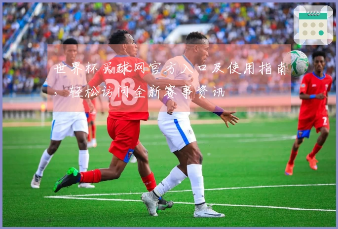 世界杯买球网官方入口及使用指南，轻松访问全新赛事资讯