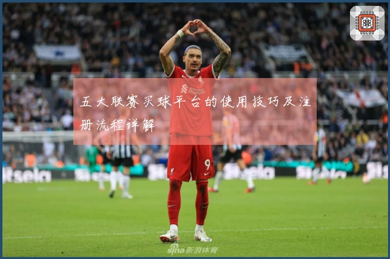 五大联赛买球平台的使用技巧及注册流程详解