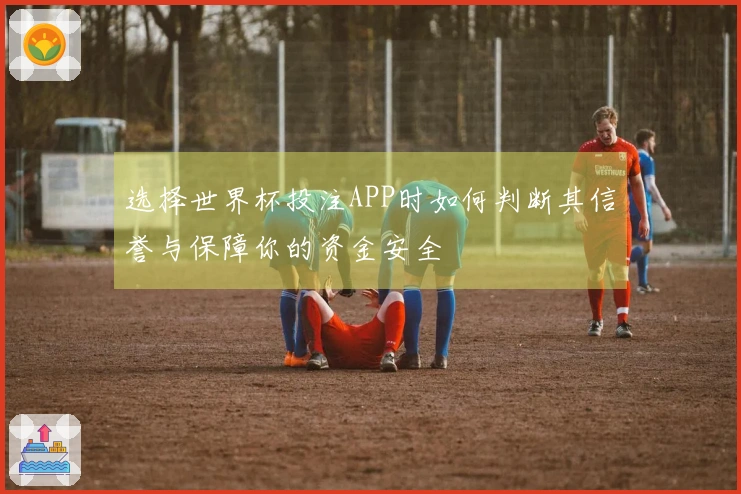 选择世界杯投注APP时如何判断其信誉与保障你的资金安全