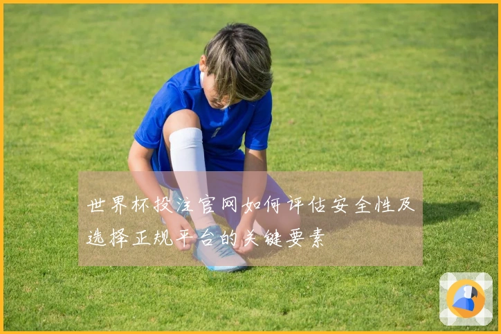 世界杯投注官网如何评估安全性及选择正规平台的关键要素