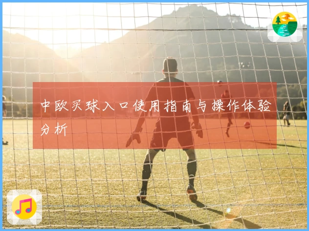 中欧买球入口使用指南与操作体验分析