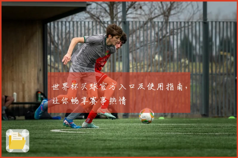 世界杯买球官方入口及使用指南，让你畅享赛事热情