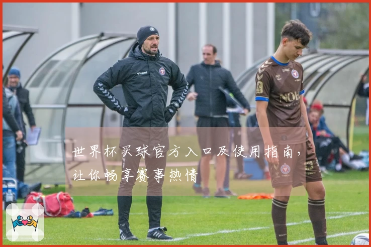 世界杯买球官方入口及使用指南，让你畅享赛事热情