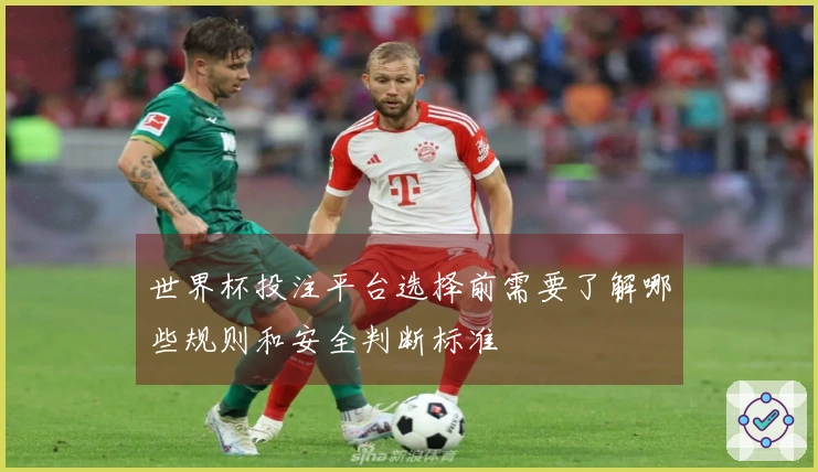 世界杯投注平台选择前需要了解哪些规则和安全判断标准