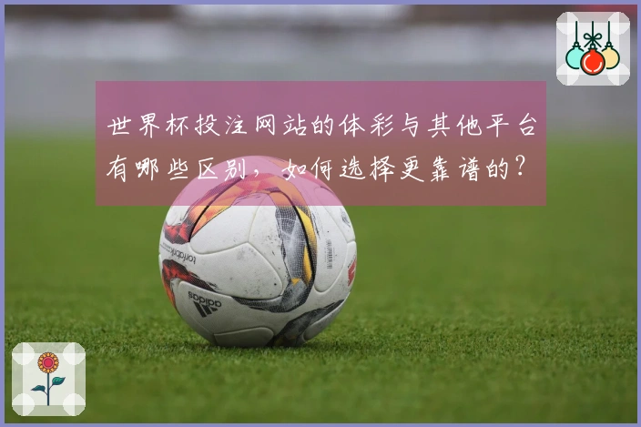世界杯投注网站的体彩与其他平台有哪些区别，如何选择更靠谱的？