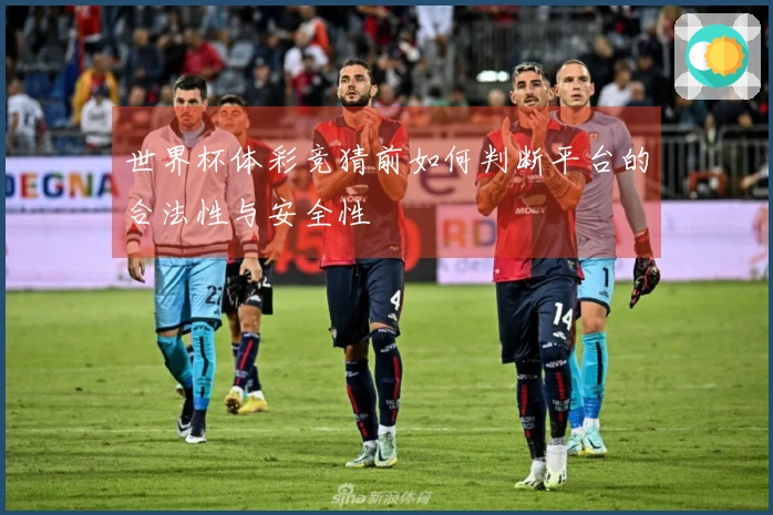 世界杯体彩竞猜前如何判断平台的合法性与安全性