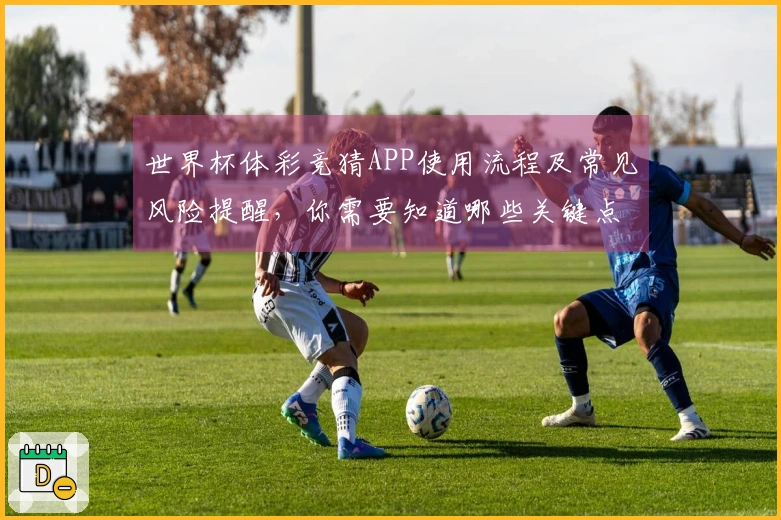 世界杯体彩竞猜APP使用流程及常见风险提醒，你需要知道哪些关键点