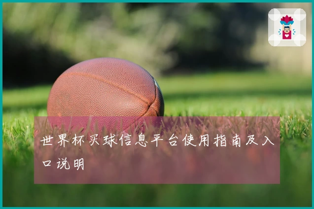 世界杯买球信息平台使用指南及入口说明