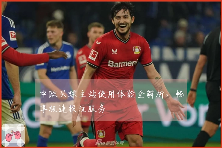 中欧买球主站使用体验全解析，畅享极速投注服务