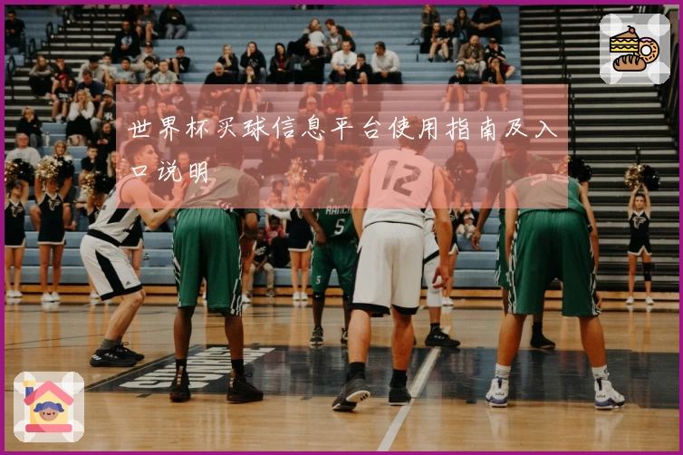 世界杯买球信息平台使用指南及入口说明