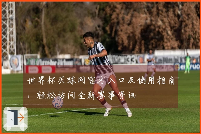 世界杯买球网官方入口及使用指南，轻松访问全新赛事资讯