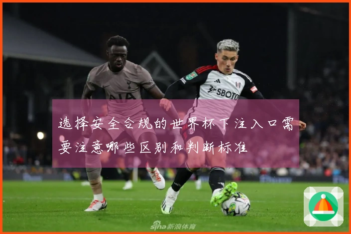 选择安全合规的世界杯下注入口需要注意哪些区别和判断标准