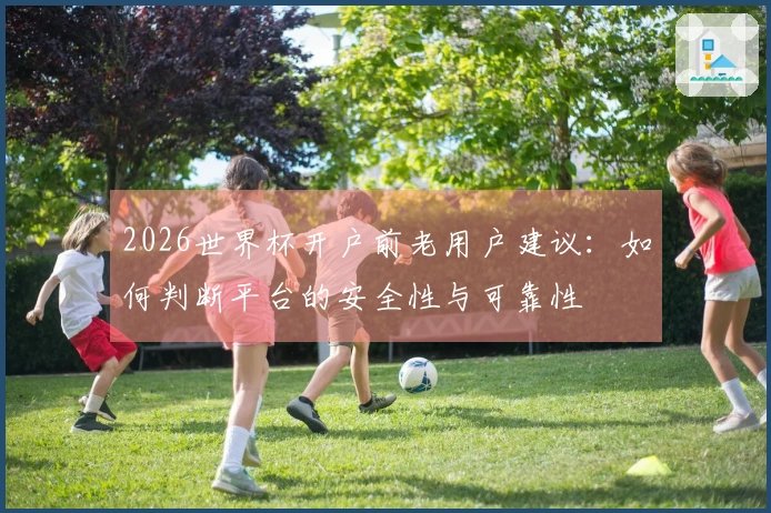 2026世界杯开户前老用户建议：如何判断平台的安全性与可靠性