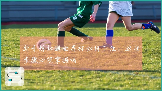 新手想知道世界杯如何下注,这些步骤必须掌握吗